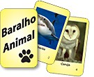 Baralho Animal